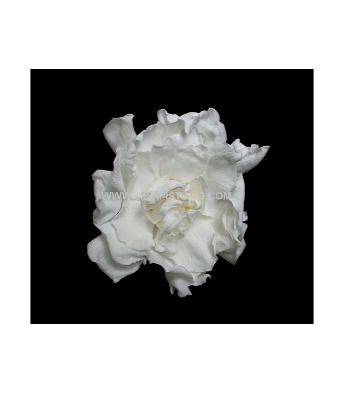 GARDÉNIA PRÉSERVÉE 6 CMS. DIAMÈTRE