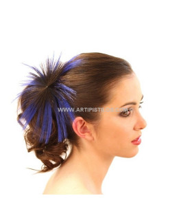 COMPLÉMENT POUR CHEVEUX