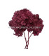 BOUQUET HORTENSIA PRÉSERVÉE