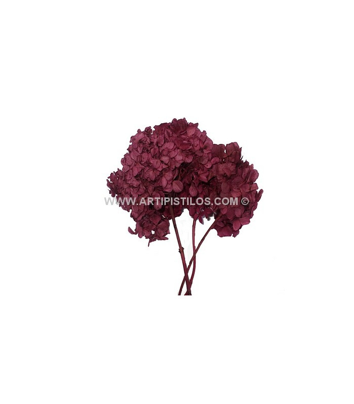 BOUQUET HORTENSIA PRÉSERVÉE