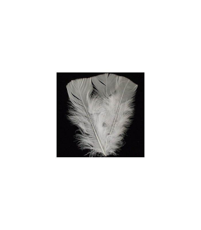 SAC DE PLUMES TURKEY FLAT