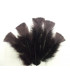 SAC DE PLUMES TURKEY FLAT