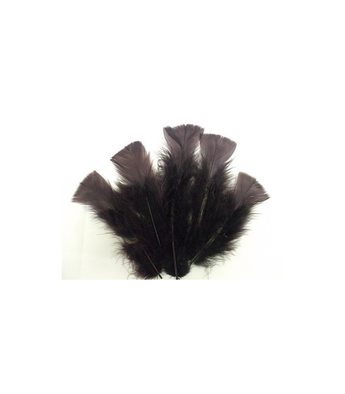 SAC DE PLUMES TURKEY FLAT