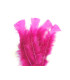 SAC DE PLUMES TURKEY FLAT