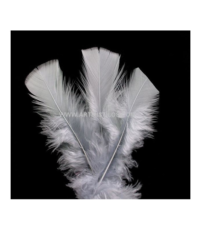 SAC DE PLUMES TURKEY FLAT