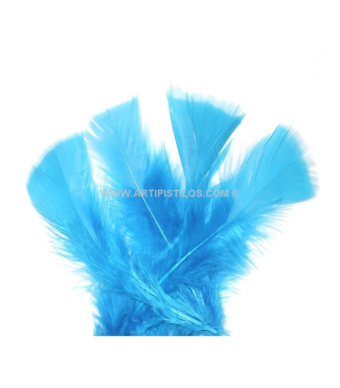 SAC DE PLUMES TURKEY FLAT