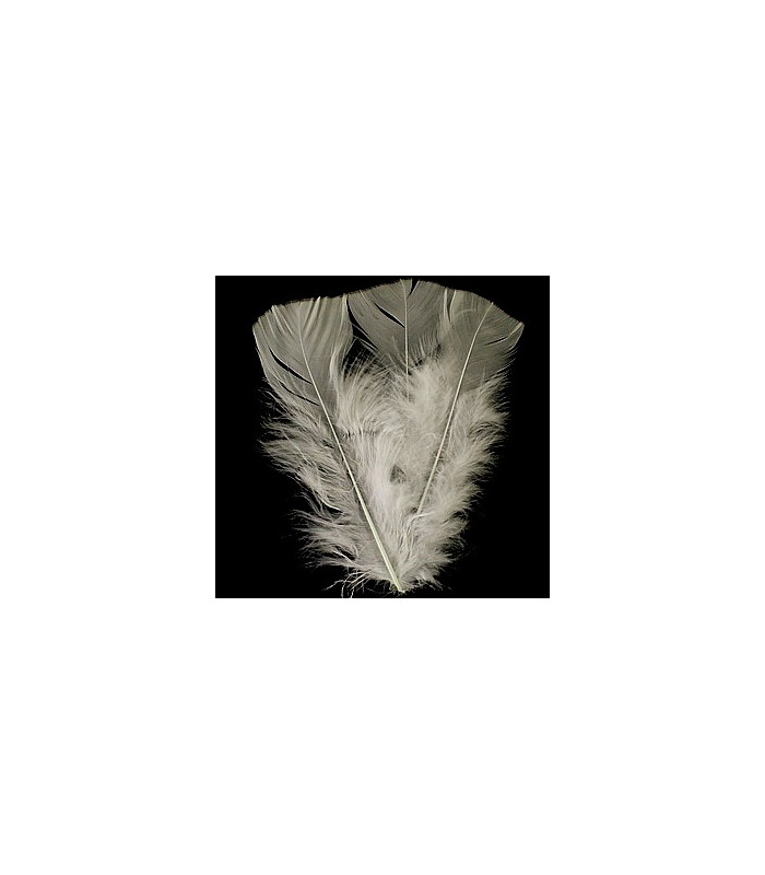 SAC DE PLUMES TURKEY FLAT