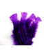 SAC DE PLUMES TURKEY FLAT