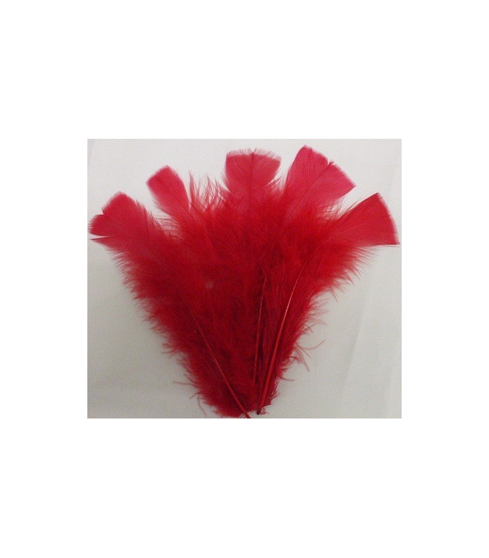 SAC DE PLUMES TURKEY FLAT