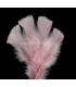 SAC DE PLUMES TURKEY FLAT