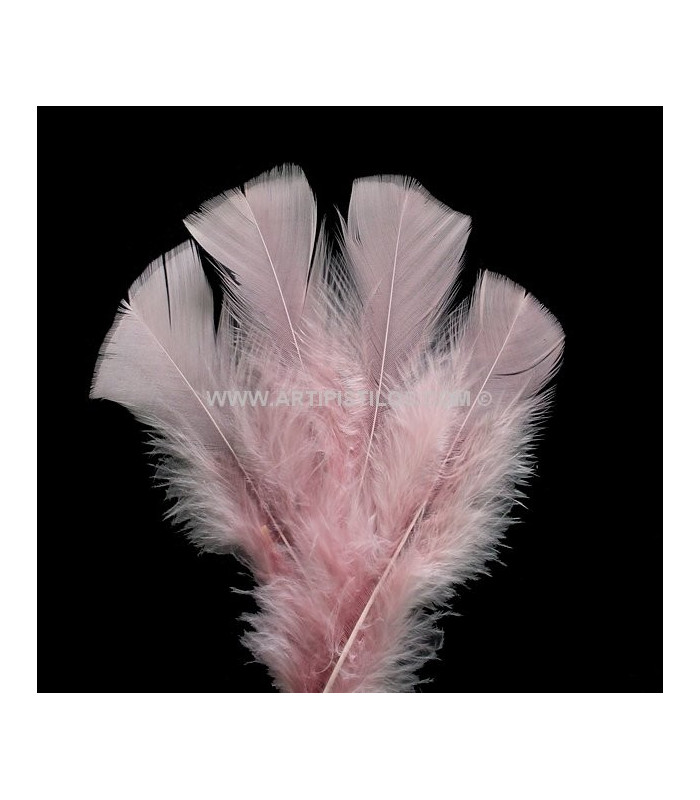 SAC DE PLUMES TURKEY FLAT
