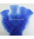 SAC DE PLUMES TURKEY FLAT
