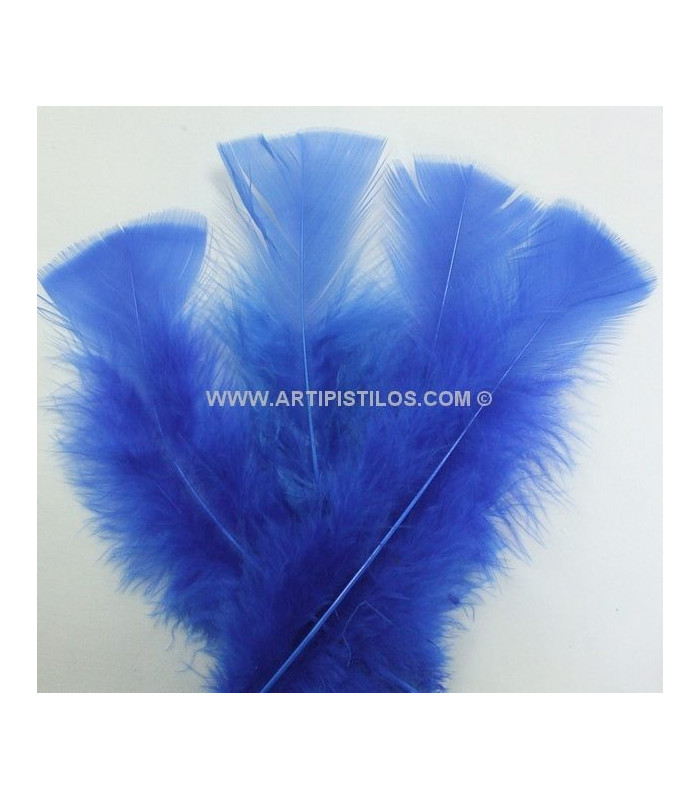 SAC DE PLUMES TURKEY FLAT