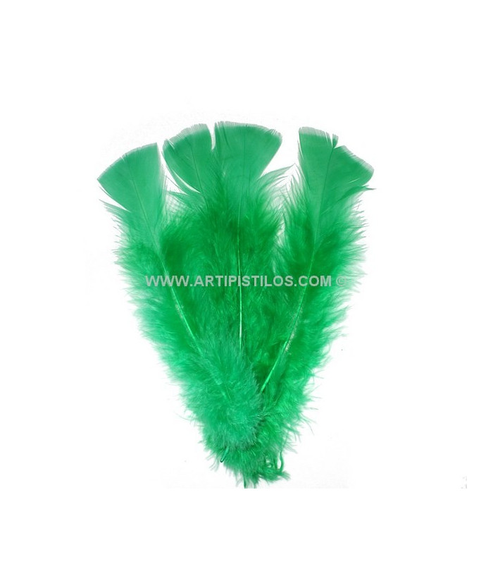 SAC DE PLUMES TURKEY FLAT