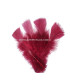 SAC DE PLUMES TURKEY FLAT