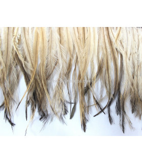 PLUMES D´ÉMOU NATUREL 10 CMS.