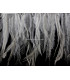 PLUMES D´ÉMOU NATUREL 10 CMS.