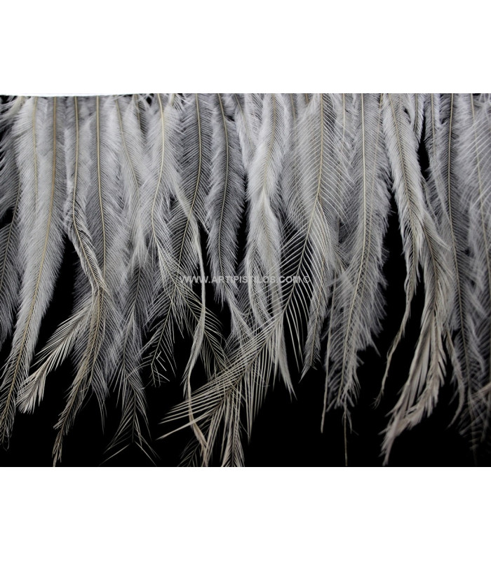 PLUMES D´ÉMOU NATUREL 10 CMS.