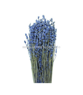 BOUQUET DE FLEUR PRÉSERVÉE LAVANDE 130 gr.