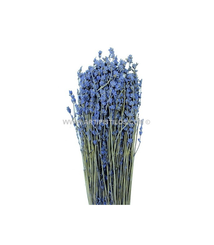 BOUQUET DE FLEUR PRÉSERVÉE LAVANDE 130 gr.
