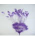 MONTAGE DE PLUMES DE COQ 30/35 CMS.
