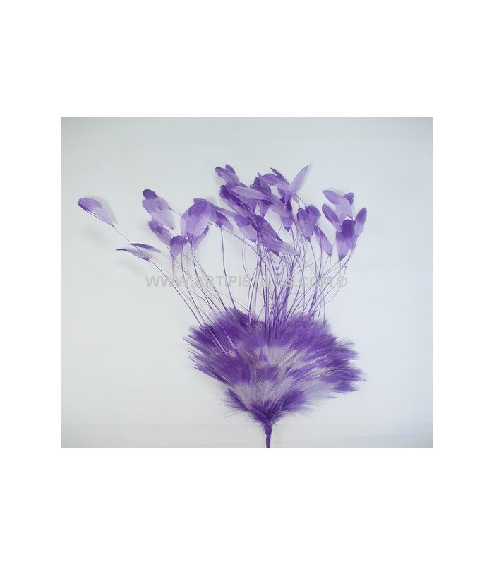 MONTAGE DE PLUMES DE COQ 30/35 CMS.