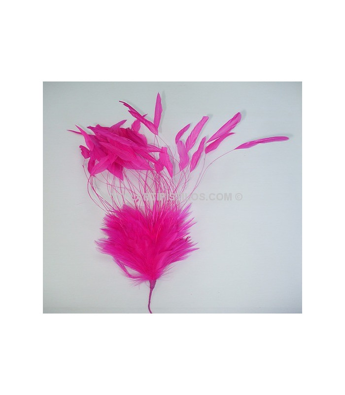 MONTAGE DE PLUMES DE COQ 30/35 CMS.