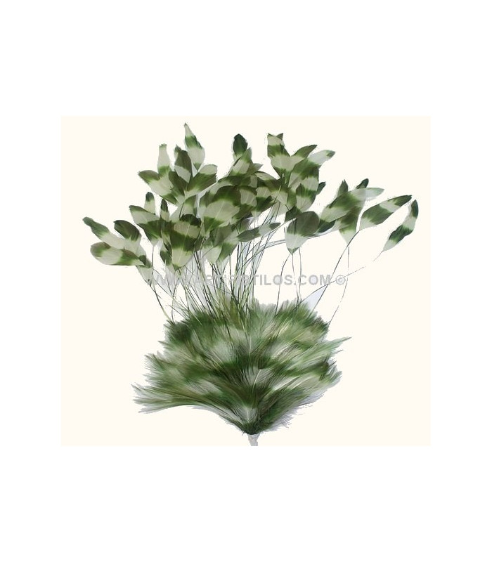 MONTAGE DE PLUMES DE COQ 30/35 CMS.