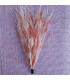 BOUQUET PLUMES D´AUTRUCHE