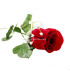 ROSE EN VELOUR AVEC PANICULATA