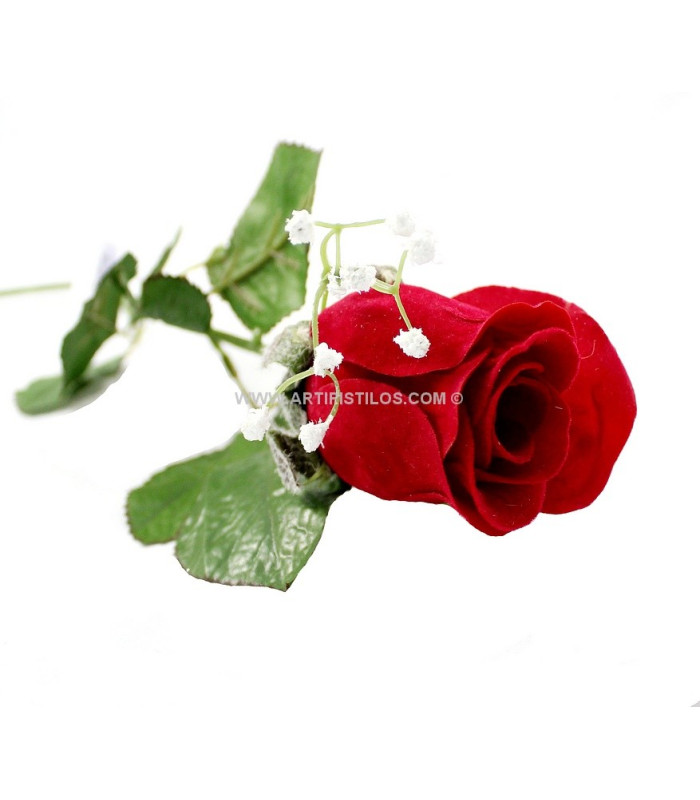 ROSE EN VELOUR AVEC PANICULATA
