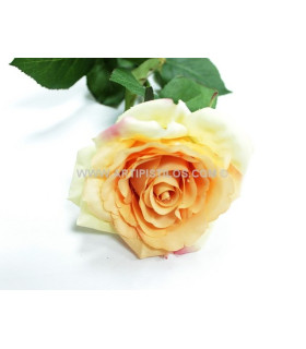 ROSE DE TISSU "COOL"