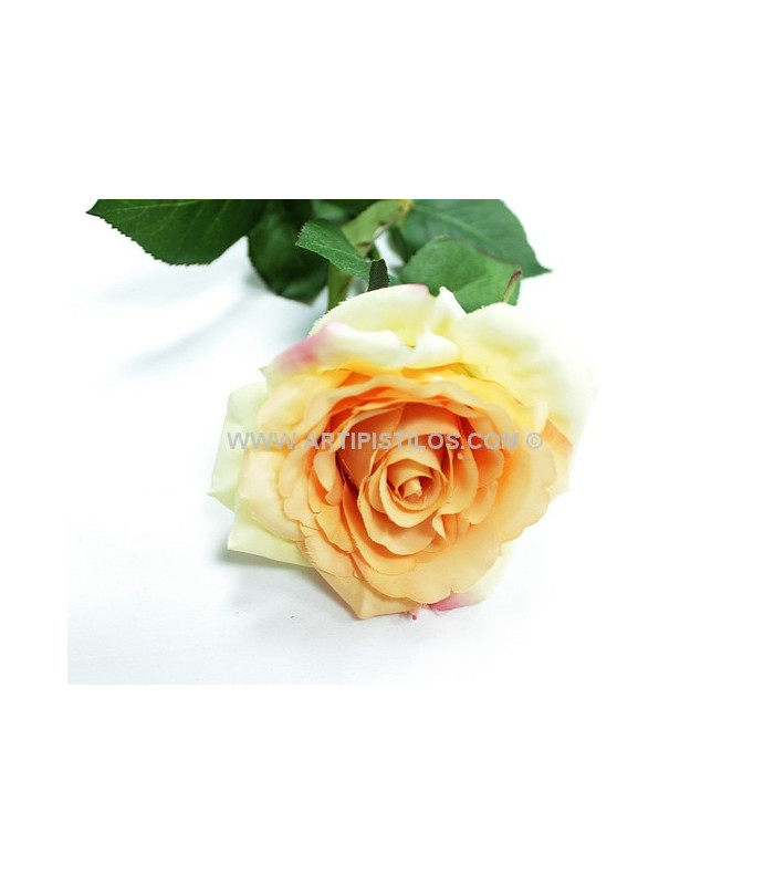 ROSE DE TISSU "COOL"