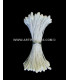 PISTIL DOUBLE GROS