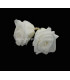 ROSE PRÉSERVÉE 4 CMS.