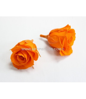 ROSE PRÉSERVÉE 4 CMS.