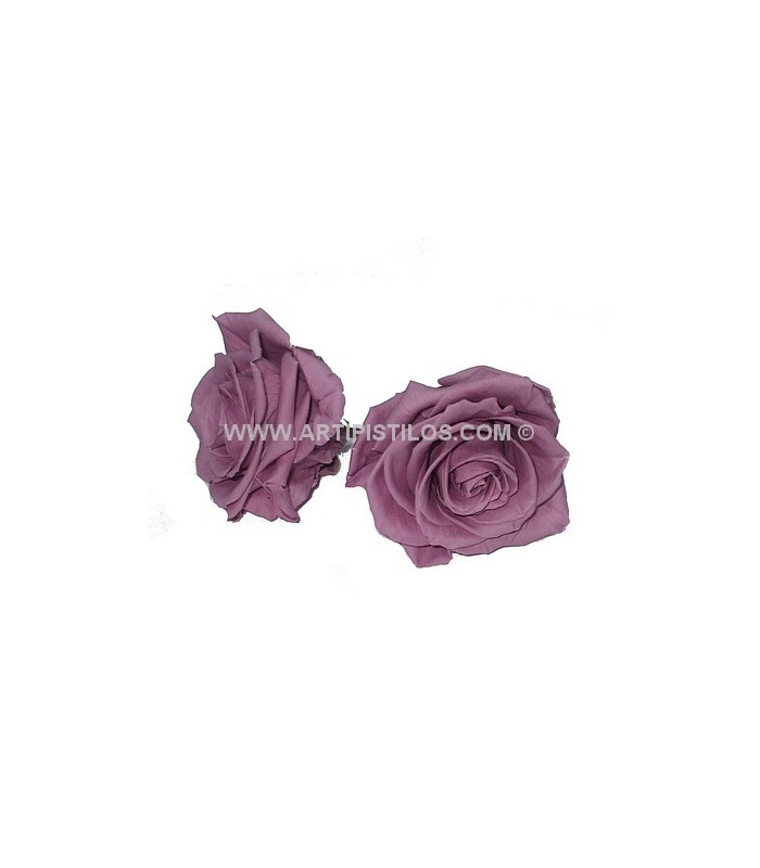 ROSE PRÉSERVÉE 4 CMS.