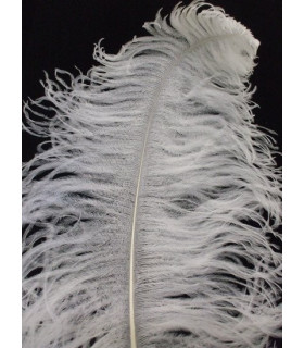 PLUME D´AUTRUCHE MALE WING 60-65 CMS.