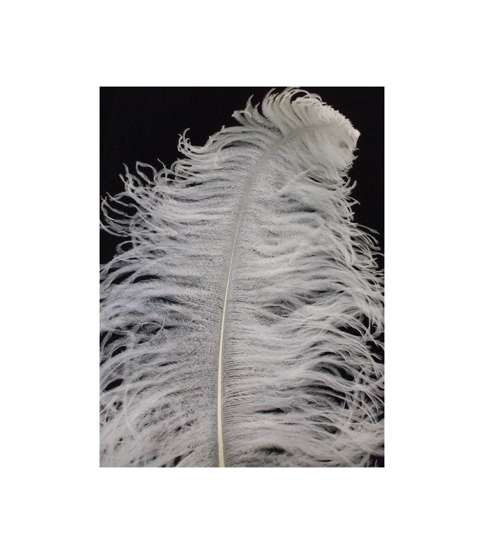 PLUME D´AUTRUCHE MALE WING 60-65 CMS.
