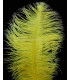 PLUME D´AUTRUCHE PREMIÈRE QUALITÉ 50-55 CMS.
