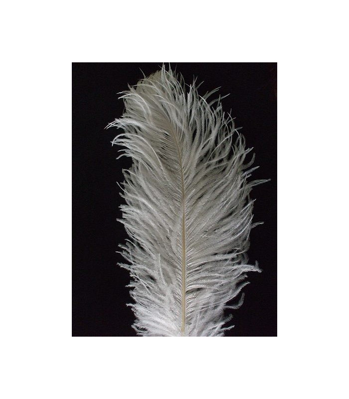 PLUME D´AUTRUCHE PREMIÈRE QUALITÉ 50-55 CMS.