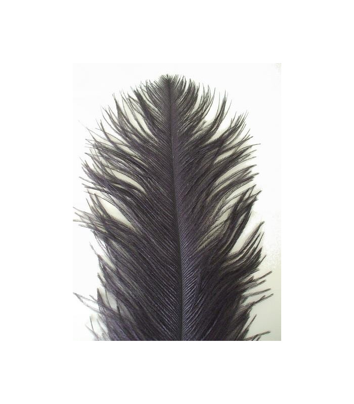 PLUME D´AUTRUCHE PREMIÈRE QUALITÉ 50-55 CMS.