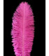PLUME D´AUTRUCHE PREMIÈRE QUALITÉ 50-55 CMS.