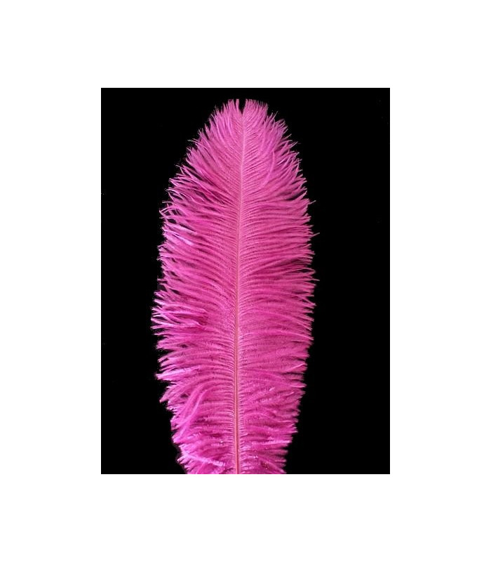 PLUME D´AUTRUCHE PREMIÈRE QUALITÉ 50-55 CMS.