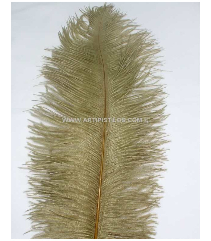PLUME D´AUTRUCHE PREMIÈRE QUALITÉ 50-55 CMS.