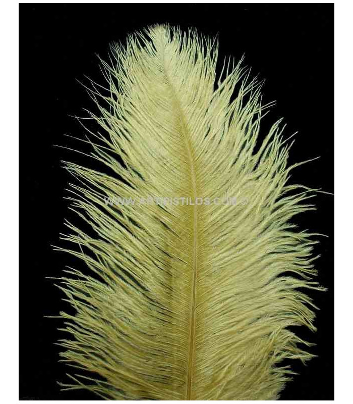 PLUME D´AUTRUCHE PREMIÈRE QUALITÉ 50-55 CMS.