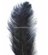 PLUME D´AUTRUCHE PREMIÈRE QUALITÉ 50-55 CMS.