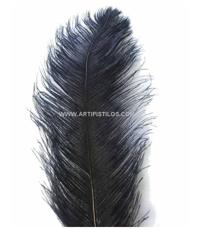 PLUME D´AUTRUCHE PREMIÈRE QUALITÉ 50-55 CMS.