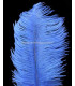 PLUME D´AUTRUCHE PREMIÈRE QUALITÉ 50-55 CMS.