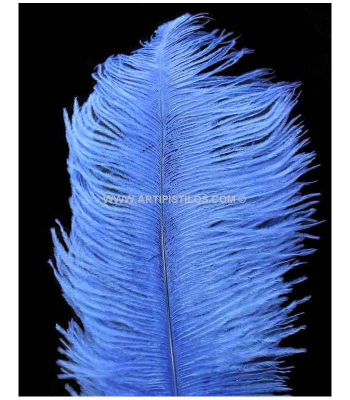 PLUME D´AUTRUCHE PREMIÈRE QUALITÉ 50-55 CMS.